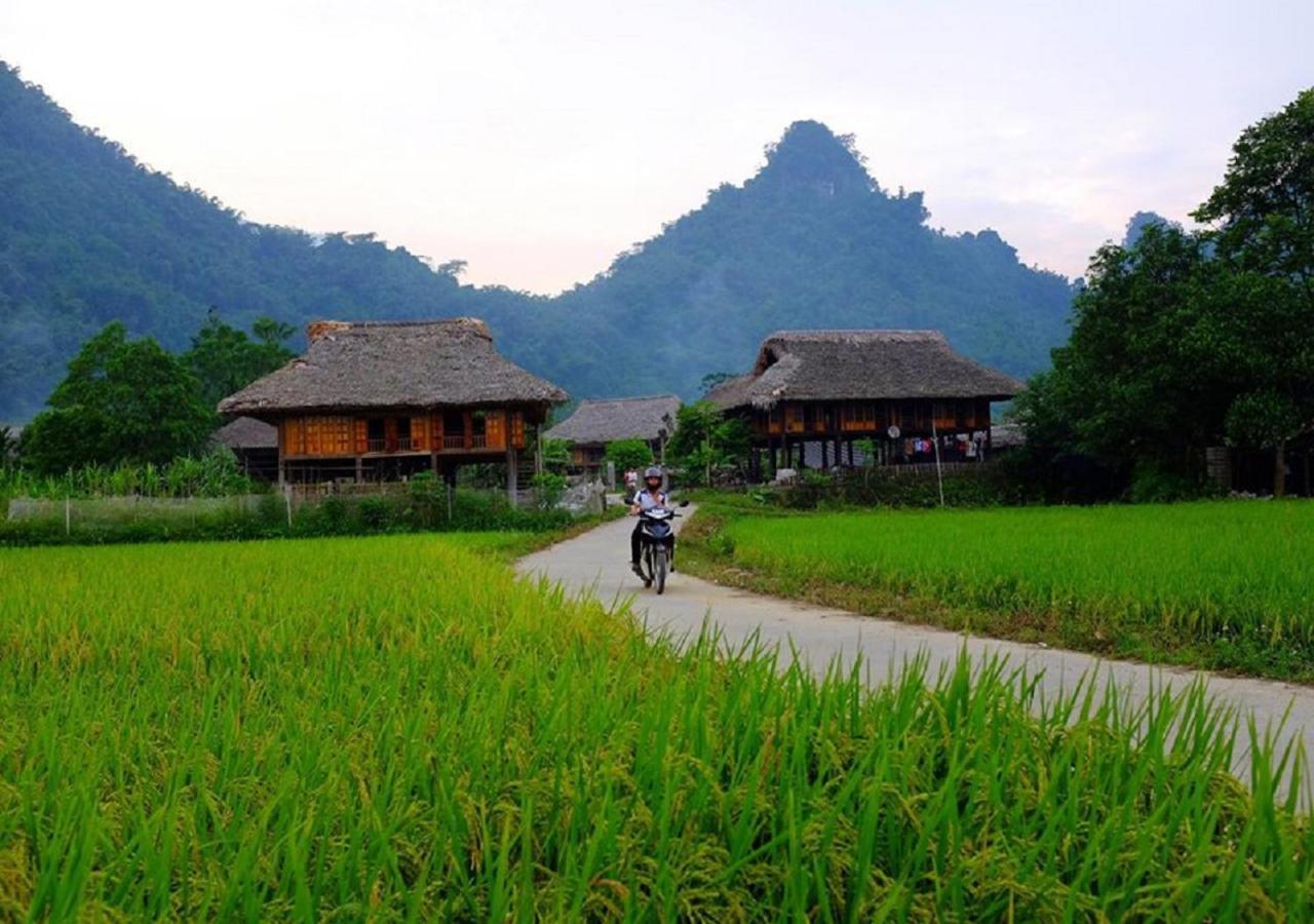 Xôi Farmstay - Eco Homestay Lục Yên Yên Bái Exterior foto